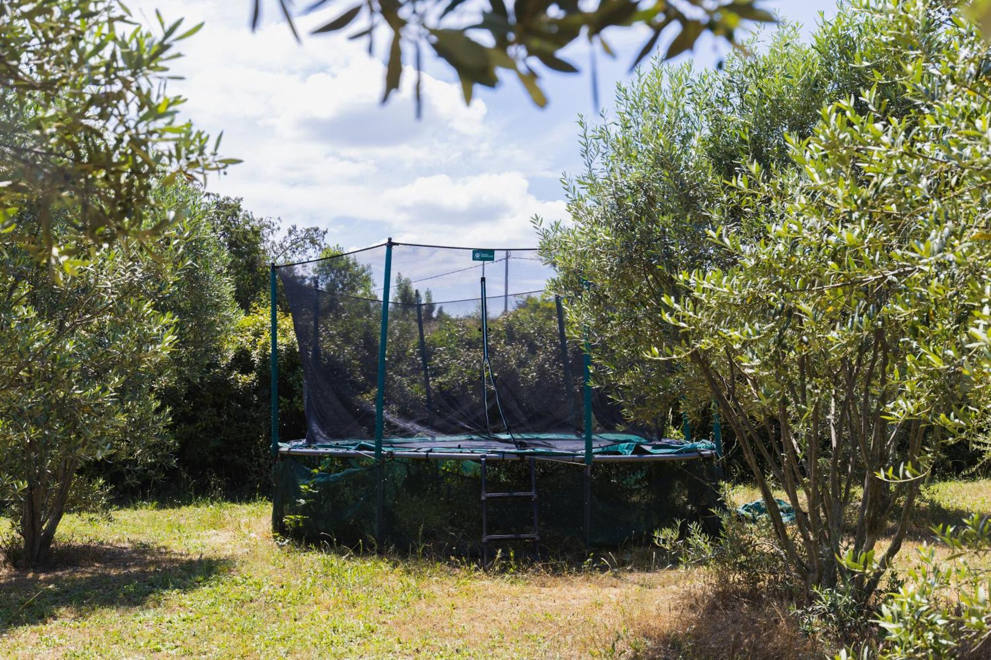 Chambre D'Hotes - B&B - Grand Luberon Chez Manon En Luberon Lagnes Екстериор снимка